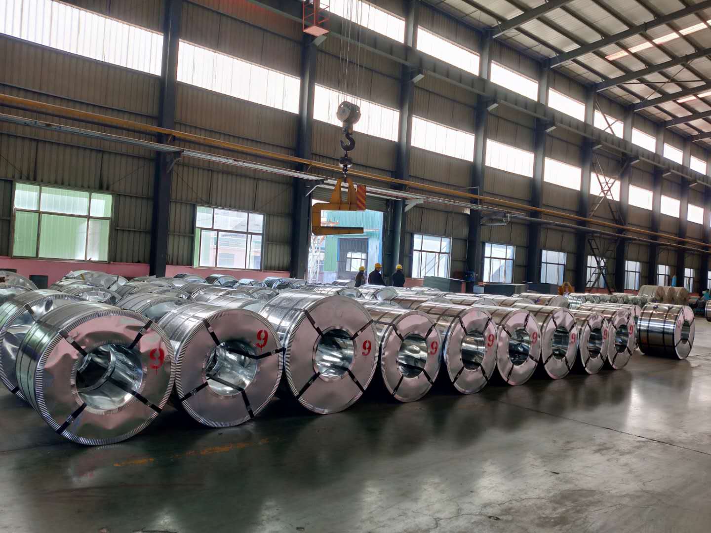 Galvanized Steel Coils